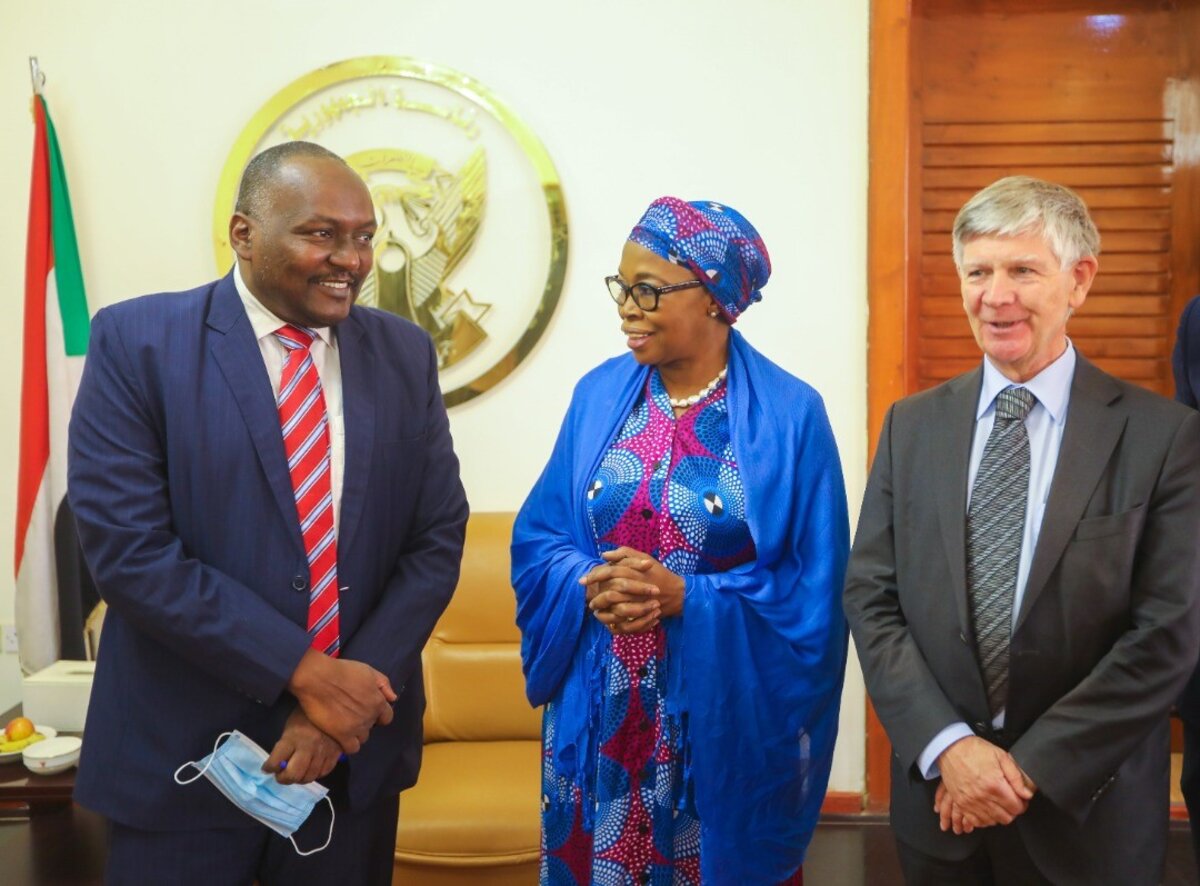 Mrs. N’diaye and Professor Walter Kälin, meeting with Mr. Mohamed Saleh, First Under Secretary General of the Ministry of Federal Government Mrs. N’diaye and Professor Walter Kälin, meeting with Mr. Mohamed Saleh, First Under Secretary General of the Ministry of Federal Government