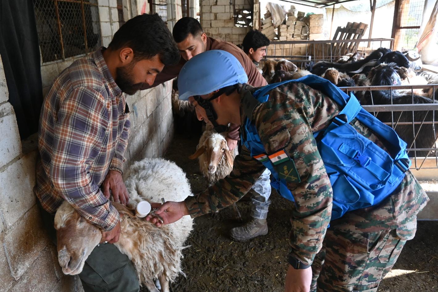 A civilian holding a sheep as a peacekeeper veterinarian provides a bottle of milk for the sheep into its mouth