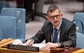 SECURITY COUNCIL BRIEFING ON THE UN INTEGRATED TRANSITION ASSISTANCE MISSION IN SUDAN (UNITAMS)