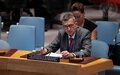 Briefing by Special Representative of the Secretary-General, Volker Perthes, to the Security Council 